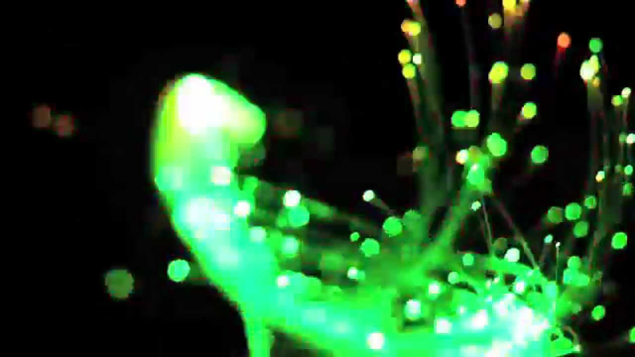 Tatijana Vasilj : Ants on a Melon BitWhip Video Contest