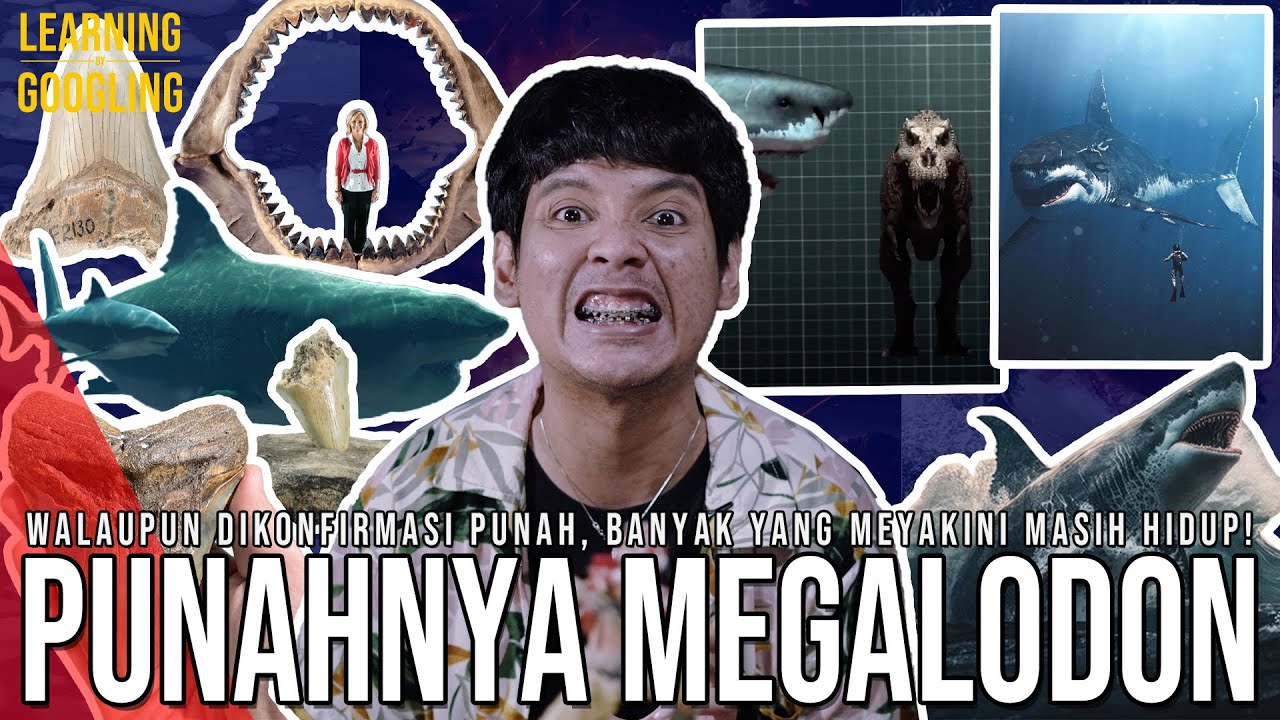 Kenapa Megalodon Punah? Kepala T-Rex Bisa Masuk Mulutnya! Masih Ada Di Laut Dalam? |LearningGoogling