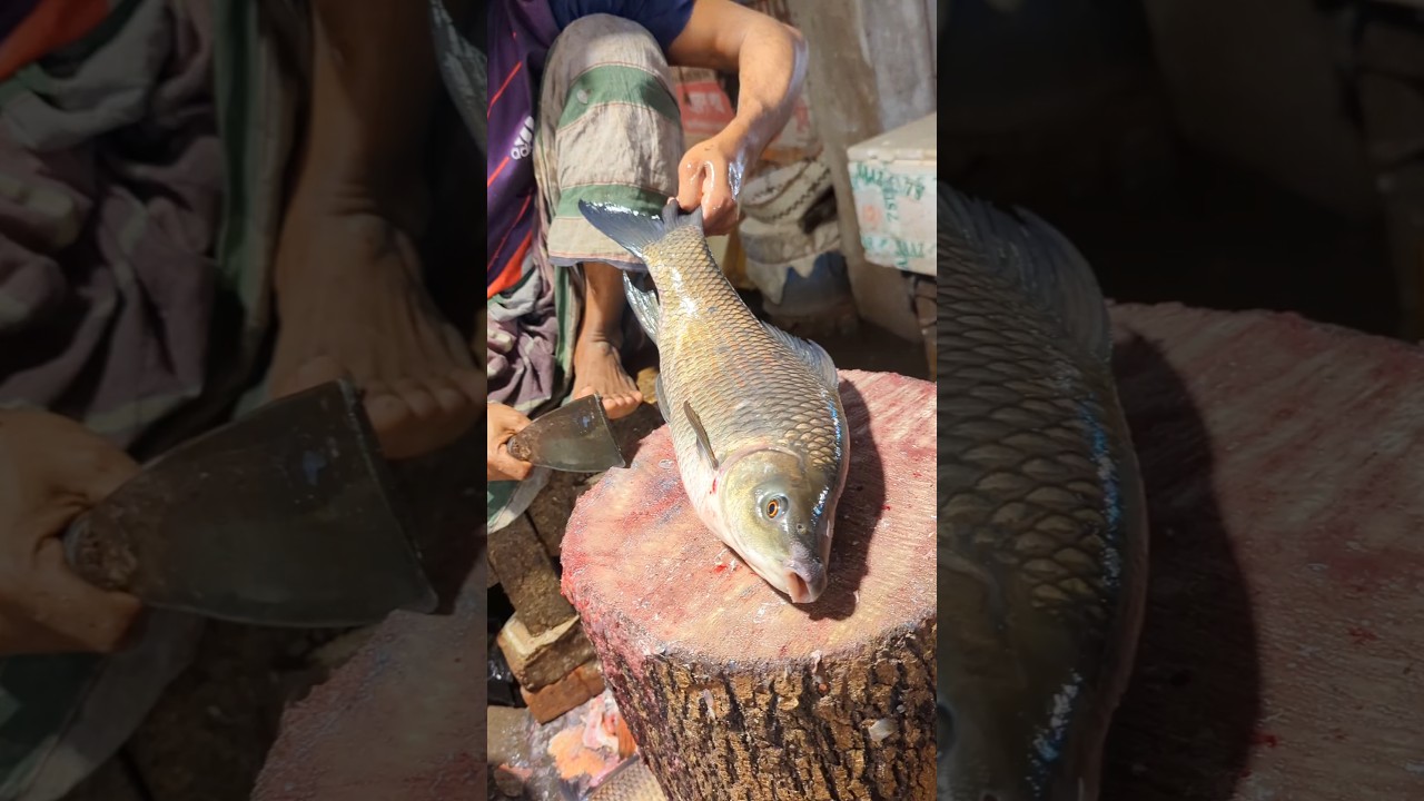 Amazing Big Mrigal Fish Cutting Skills Live In BD Fish#90Market