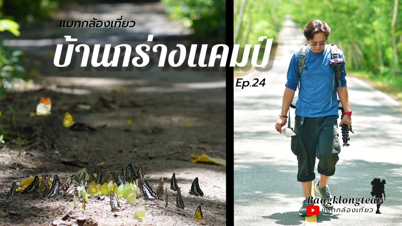 ผีเสื้อแก่งกระจาน บ้านกร่างแค้มป์ อุทยานแห่งชาติแก่งกระจาน Ep.24 | Baagklongteaw แบกกล้องเที่ยว
