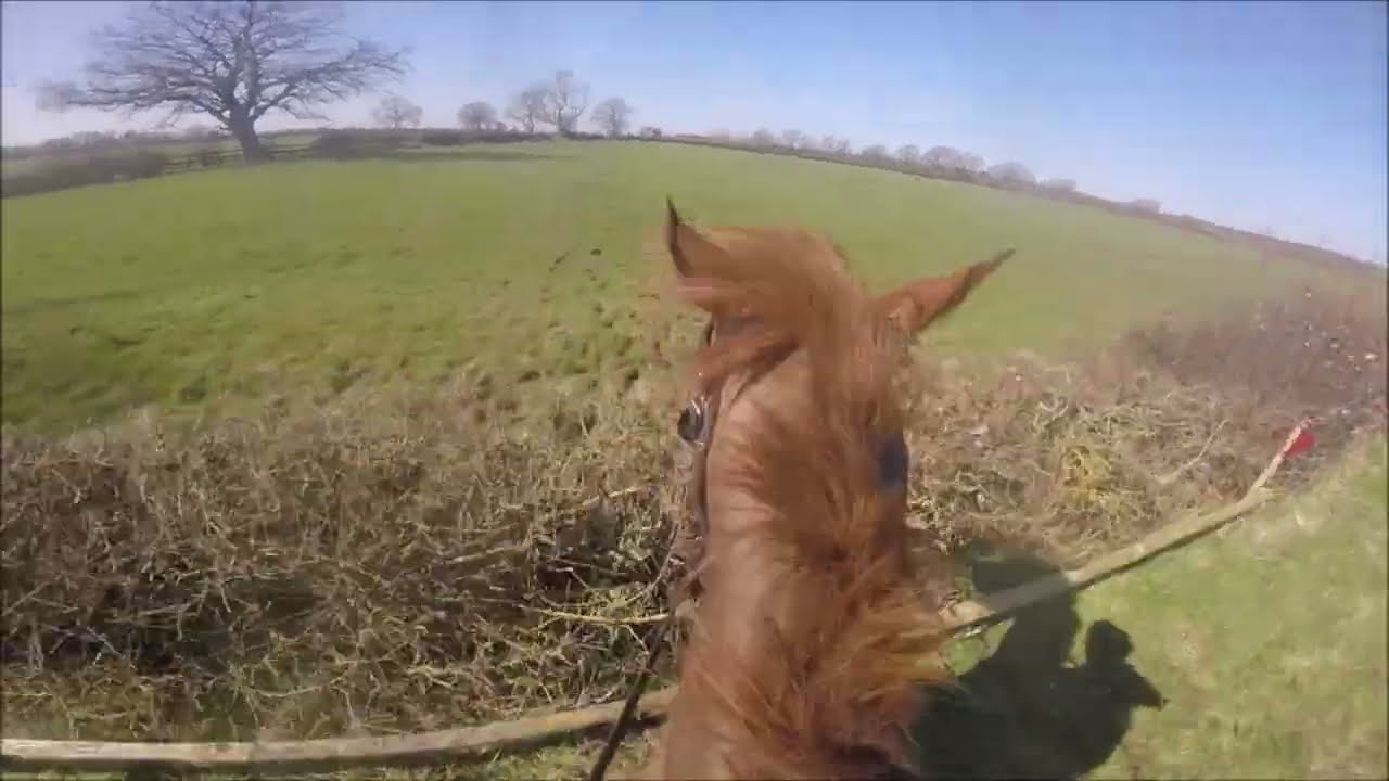 Old Berks Hunt Ride 2022 - Flash