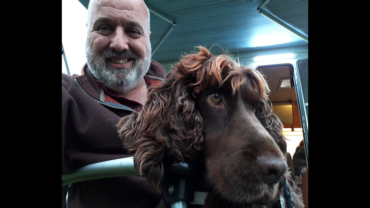 Charlie & Me review Norman View Wexford & Hook Head