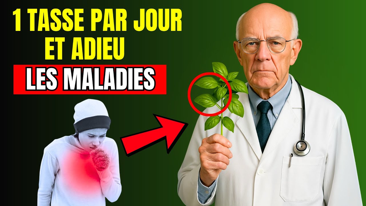 PERSONNES &Acirc;G&Eacute;ES, Voici L&rsquo;INFUSION QUI GU&Eacute;RIT TOUT ! &ndash; 6 Bienfaits Du Th&eacute; Au Basilic Au Quotidien
