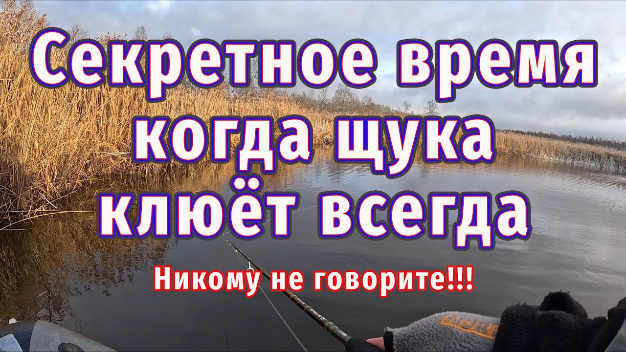 Секреты рыбалки на этой реке раскрыты! Мороз активизирует щуку на 100%
