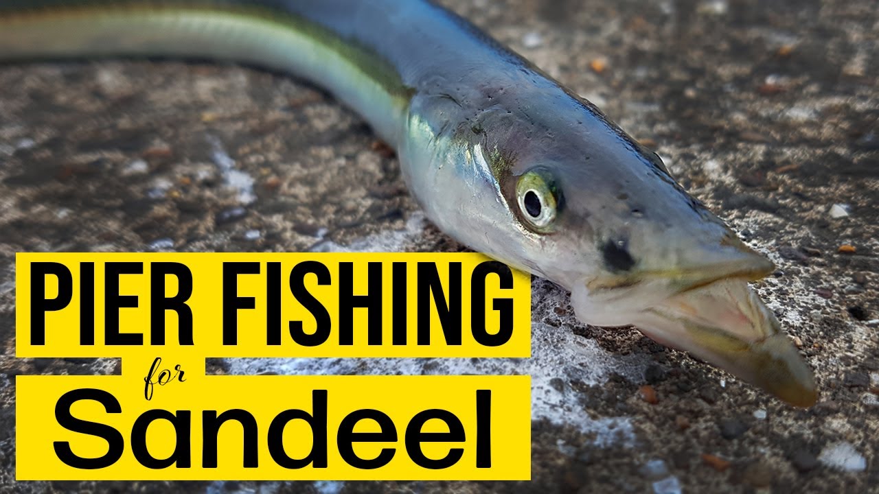 Fishing my local pier targeting sand eels with sabiki type lures and the razorclaw silver minnow