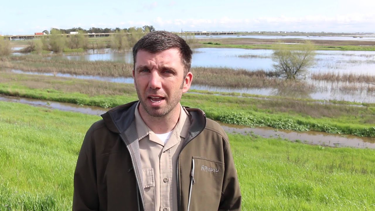 Yolo Bypass Wildlife Area flooded - first time since 2012