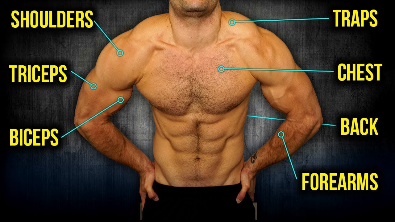 9min Home Total UPPER BODY Workout (DUMBBELLS ONLY!!)