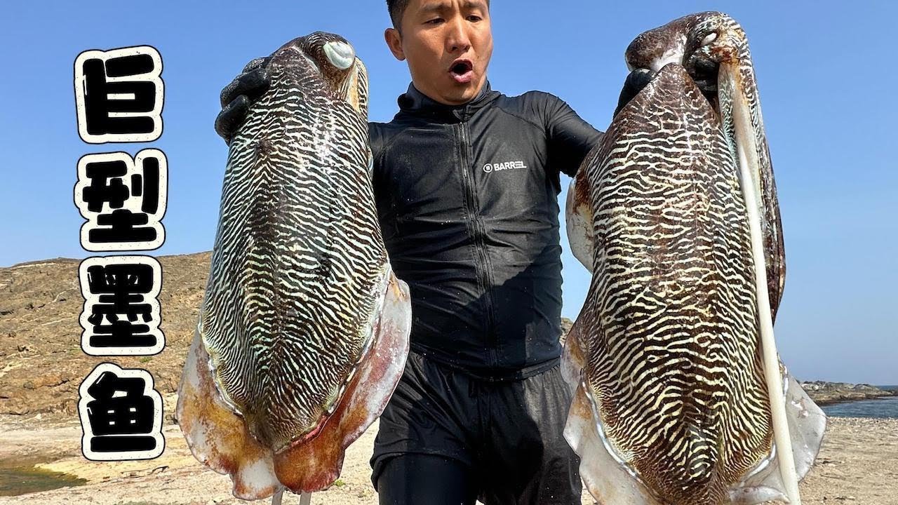 《Oman自驾》第15集：寻找相机途中，遇到一大群巨型墨鱼，摄影师看后都惊呆了 #阿曼 #赶海 #抓龙虾 #潜水 #抓八爪鱼 #大墨鱼