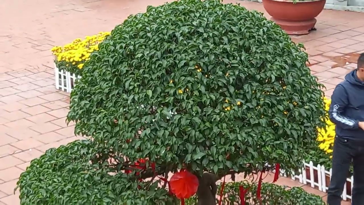 Chùa Khánh Long : THÔN CẦU : ỨNG HÒA