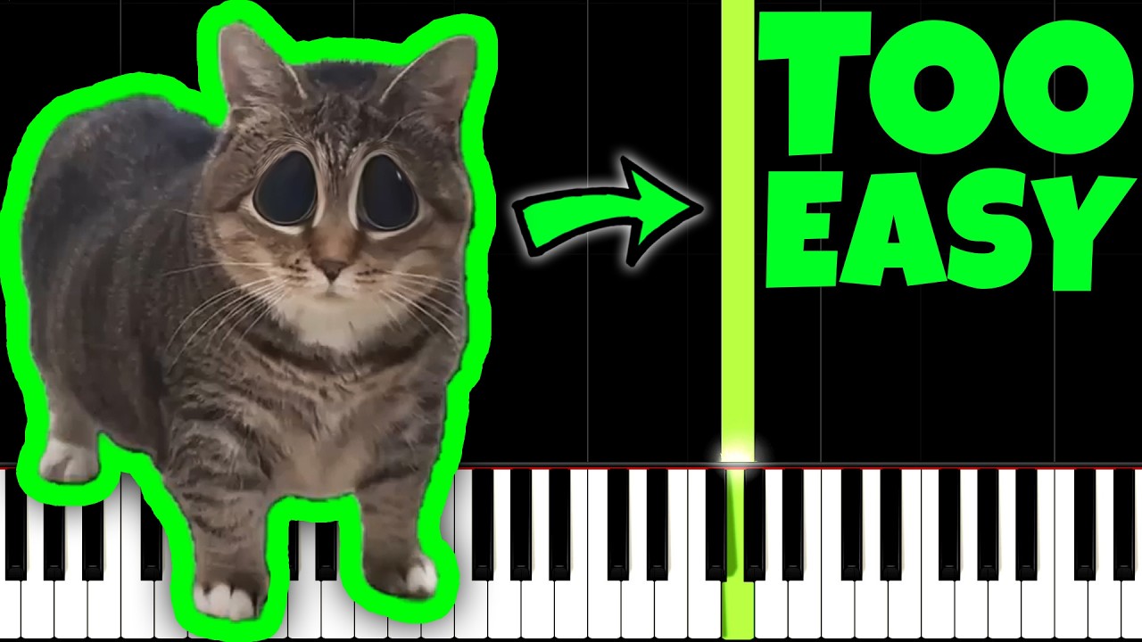 Spinning Cat, but it's TOO EASY, I'm 99% Sure YOU CAN PLAY THIS!