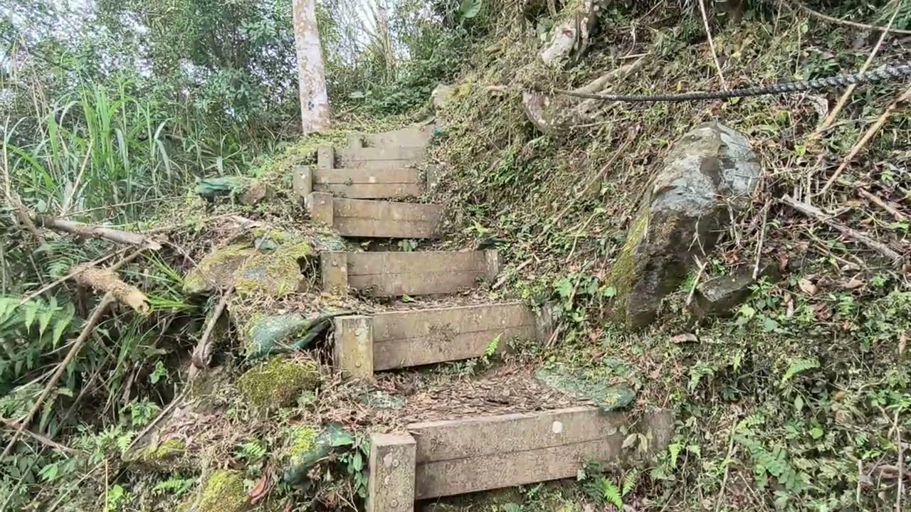 梅嶺竹子尖山(Mt. Jhuzihjian)遊記_梅花季節由梅峰古道(Meifeng Historic Trail)登上梅峰(Mei Peak)及竹子尖山小百岳#067