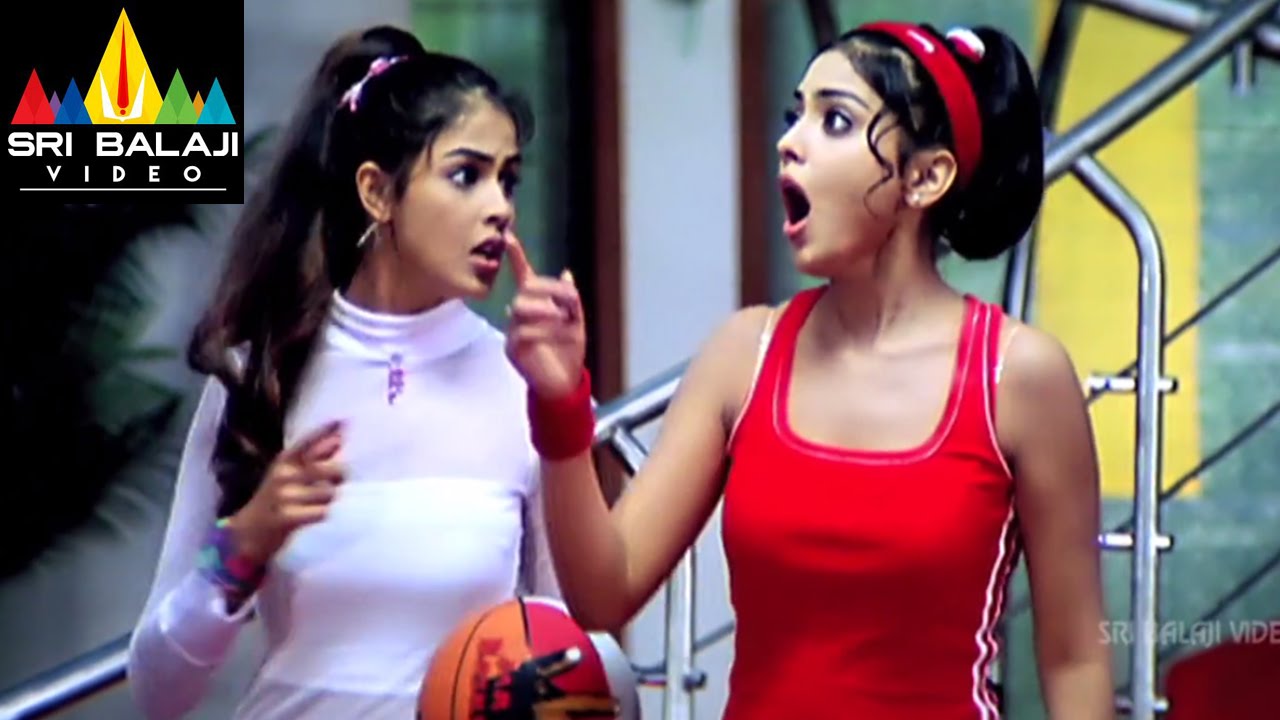 Naa Alludu Movie NTR Comedy Scene | Jr.NTR, Shriya, Genelia | Sri Balaji Video