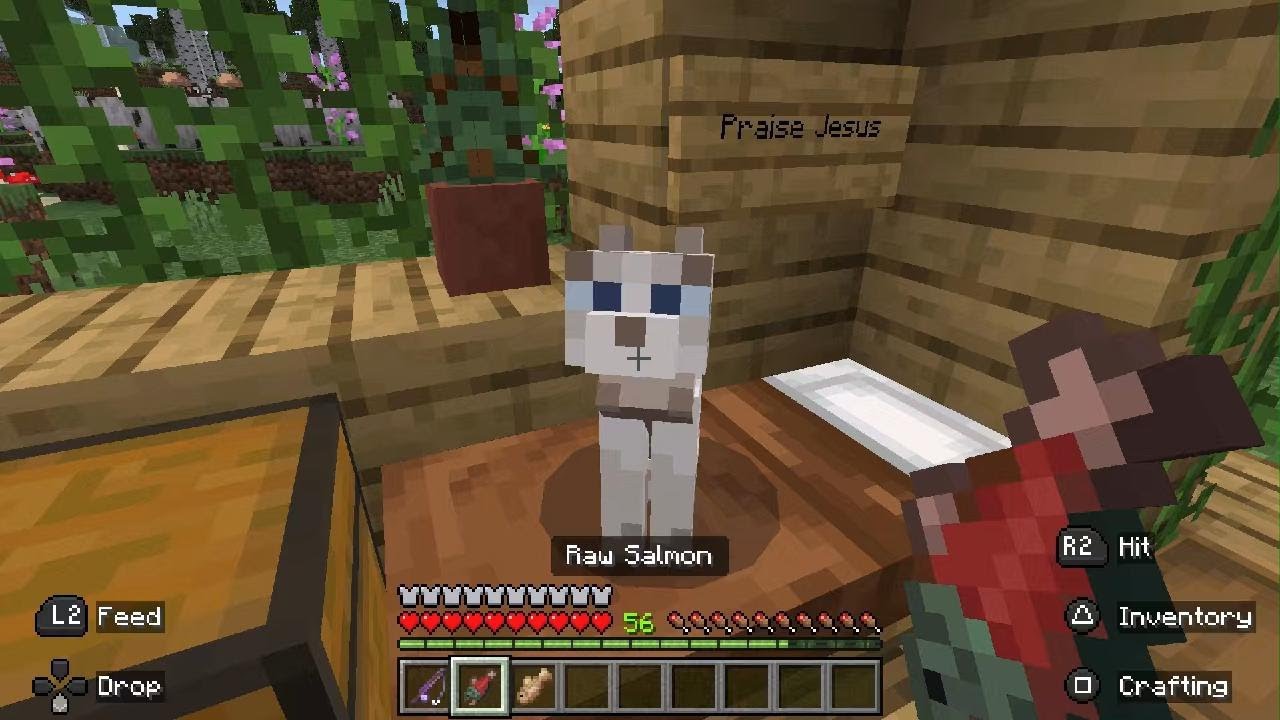 Minecraft - Cave Connections ☝️😜🐱🌿
