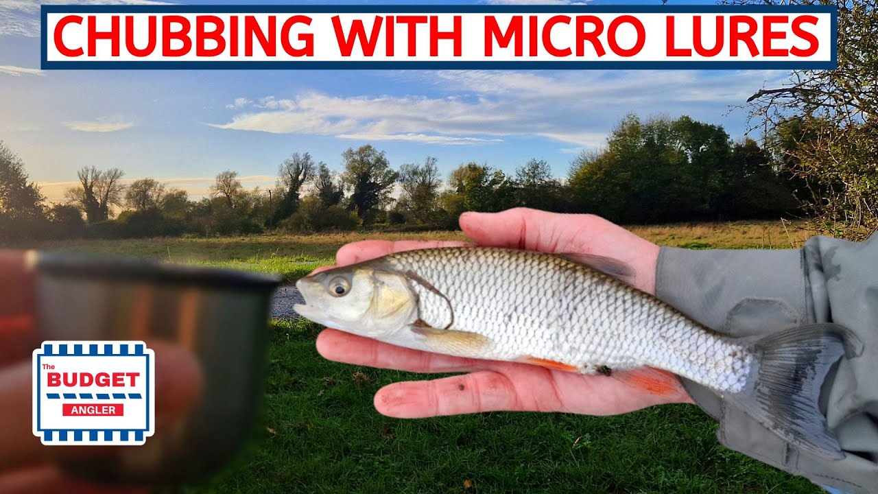 Micro Lure Fishing for Chub in the UK