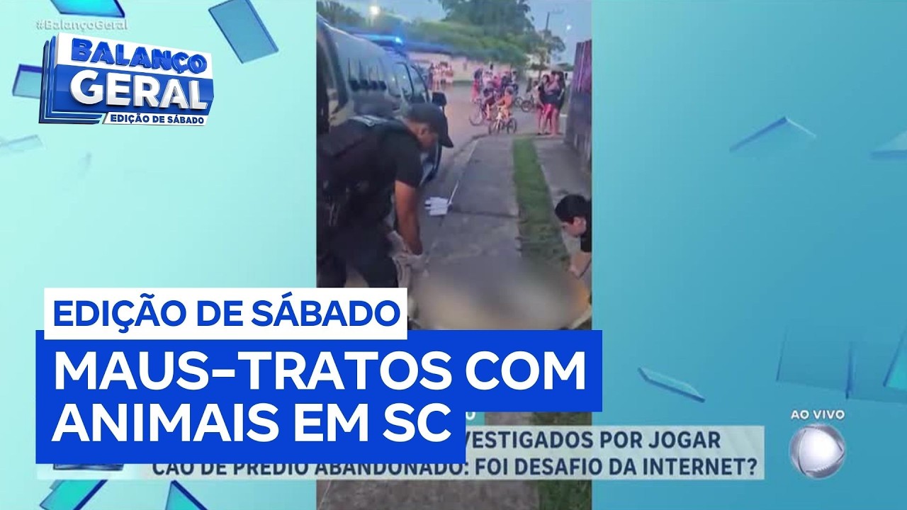 Adolescentes são presos após jogarem um cão do alto de um prédio em Santa Catarina