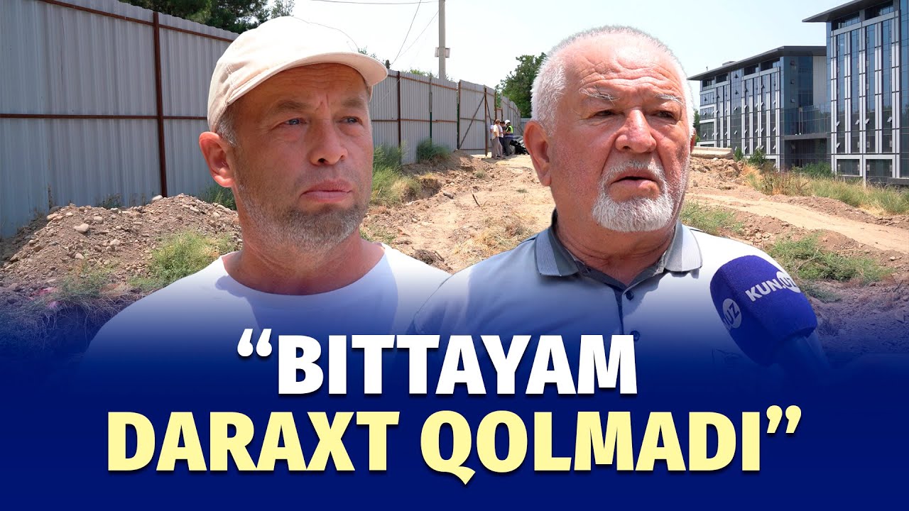Chilonzorda yana daraxtlar kesildi. Ekologiya organi sukutda