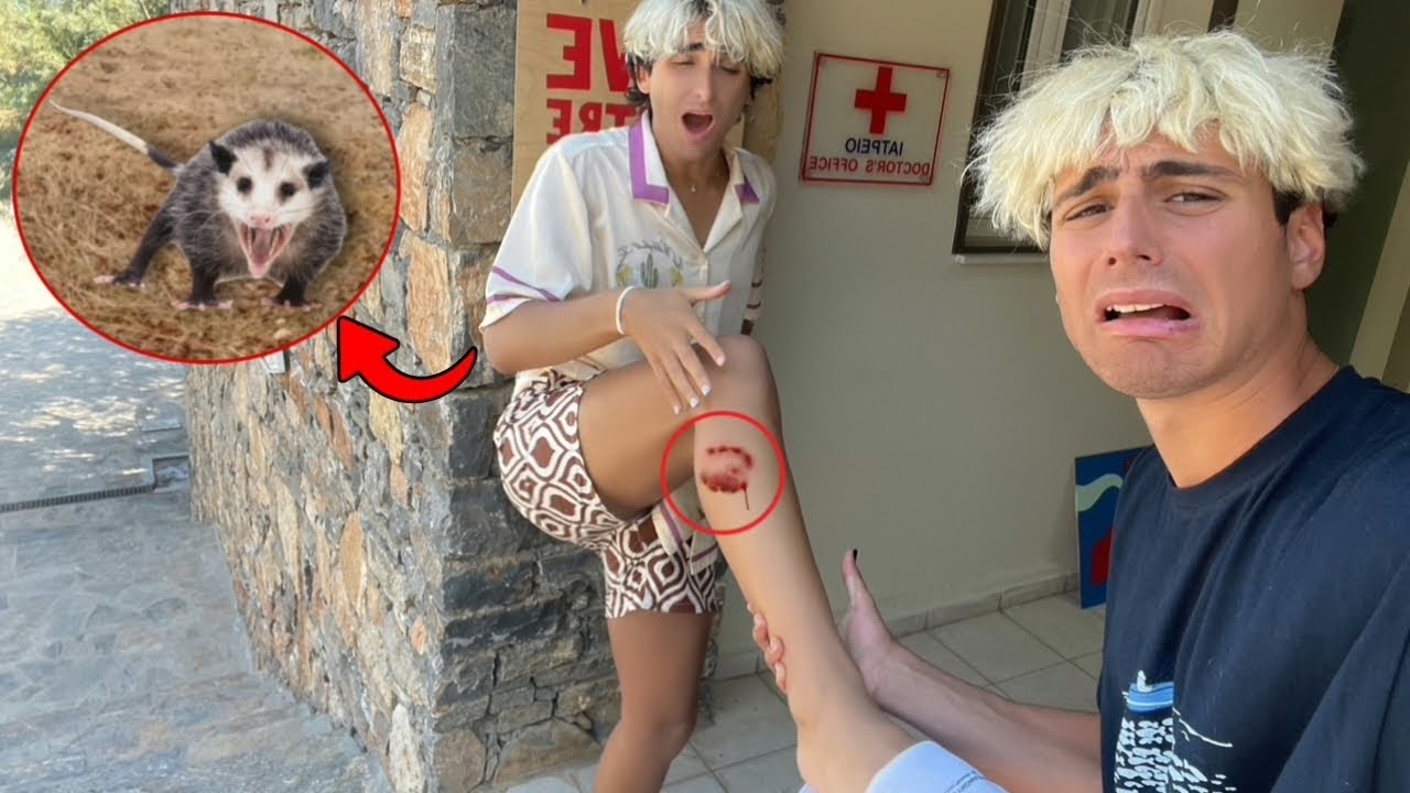 UN OPOSSUM HA MORSO VINCI! È STATO UN INCIDENTE!!! 😱🆘