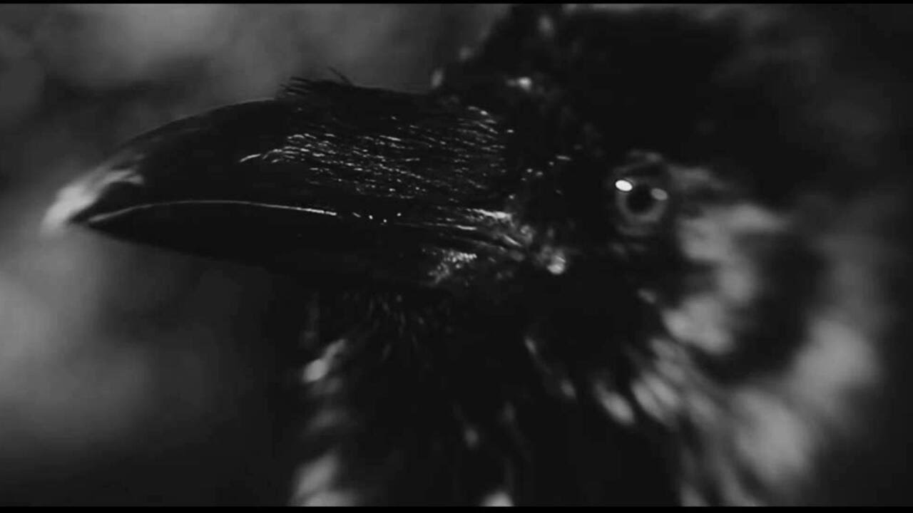 Dissection - Retribution - Storm of the Light's Bane ( &Auml;mm&auml;nhaut Video )