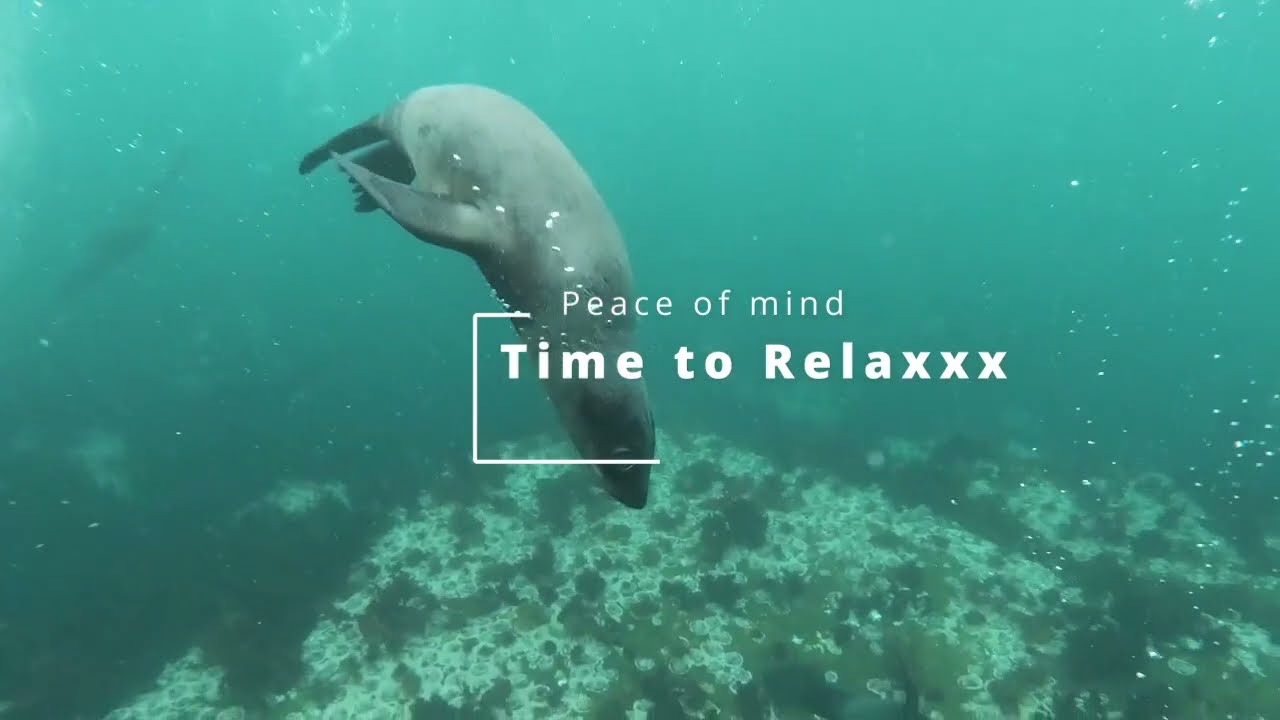 64 Hz Frequenzmusik Meditation Zwirbeldrüsenaktivierung