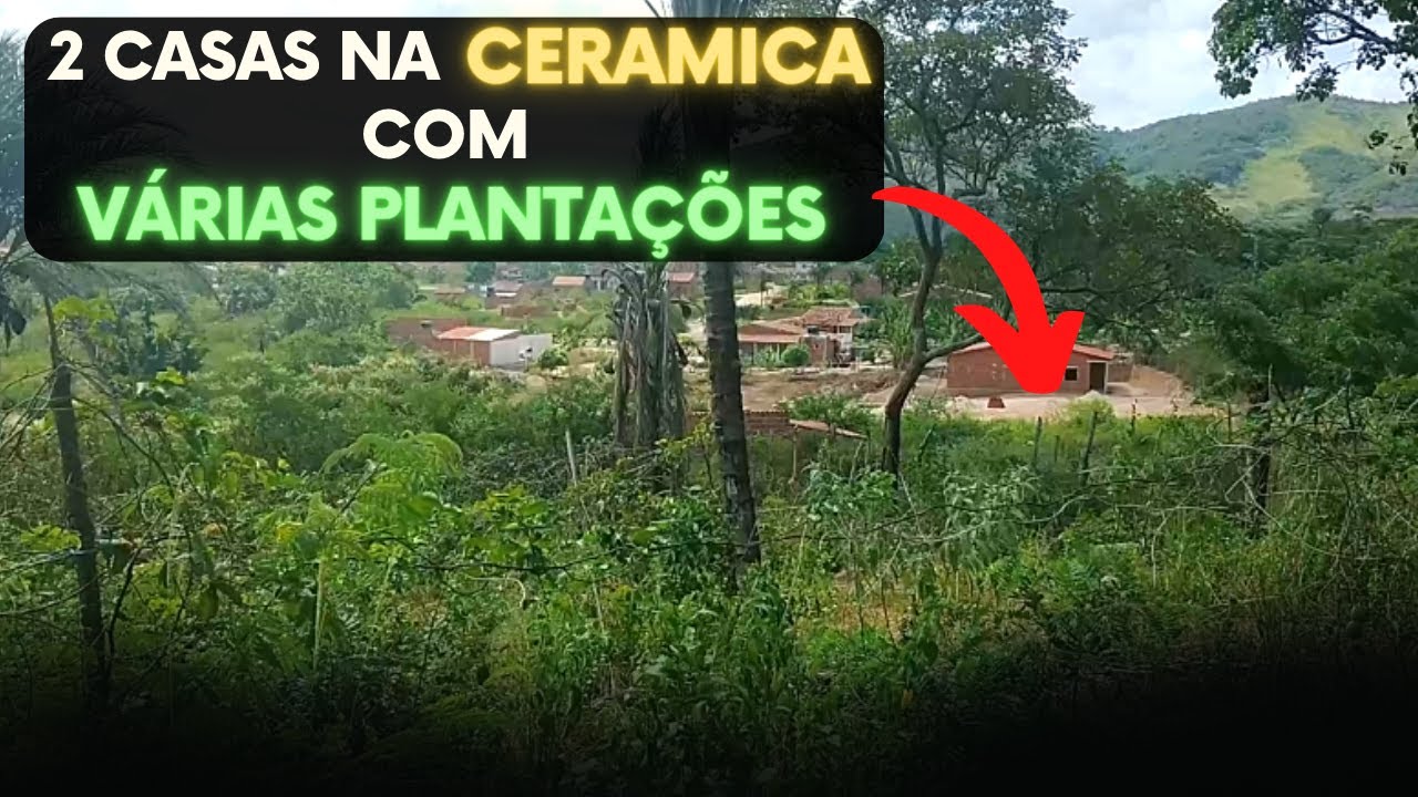 Sítio COMPLETO e BARATO, com duas CASAS e várias PLANTAÇÕES