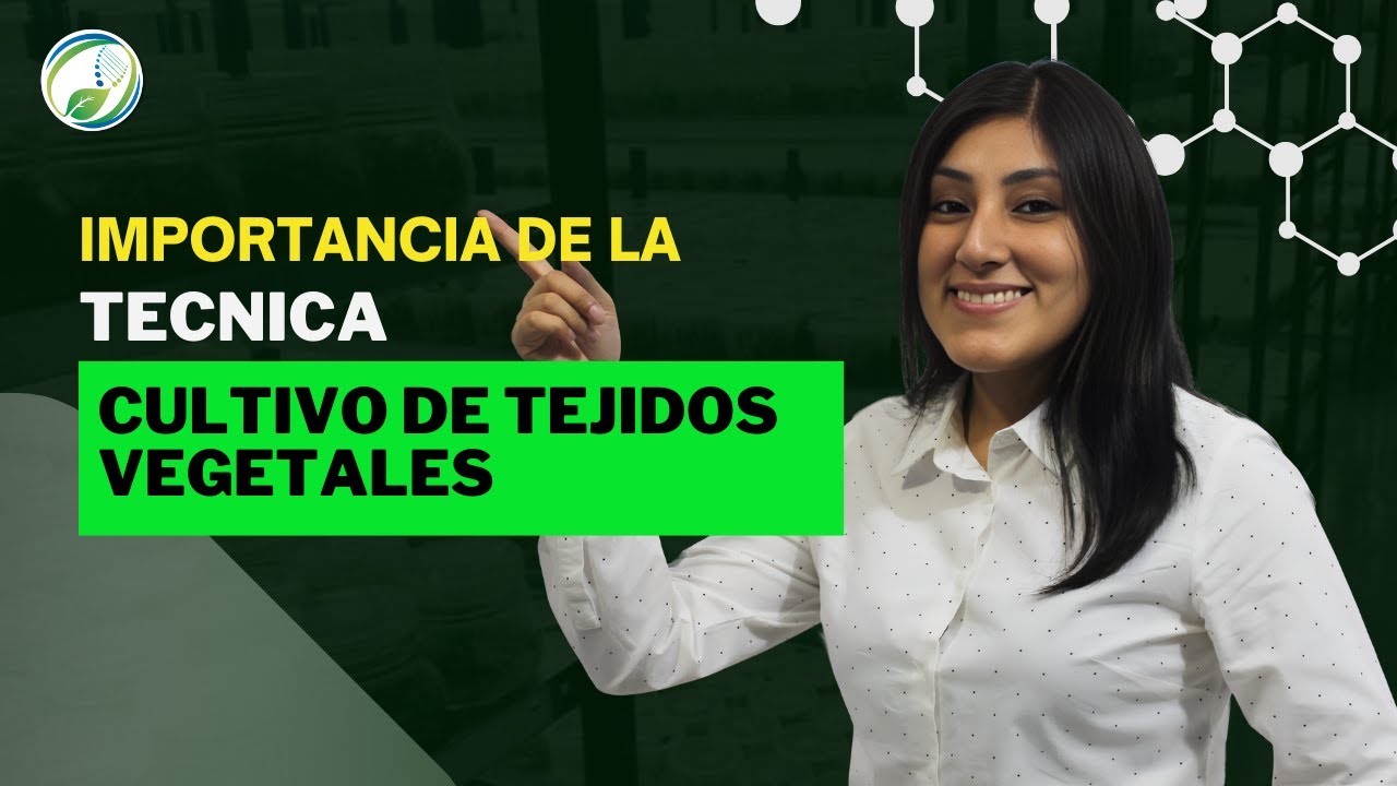 IMPORTANCIA DEL CULTIVO DE TEJIDOS VEGETALES