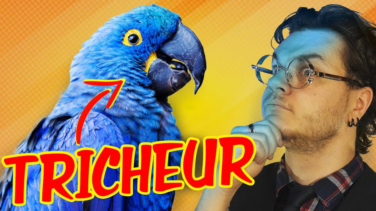 Pourquoi Le Bleu Est Si Rare Dans La Nature ?! (en 360s)