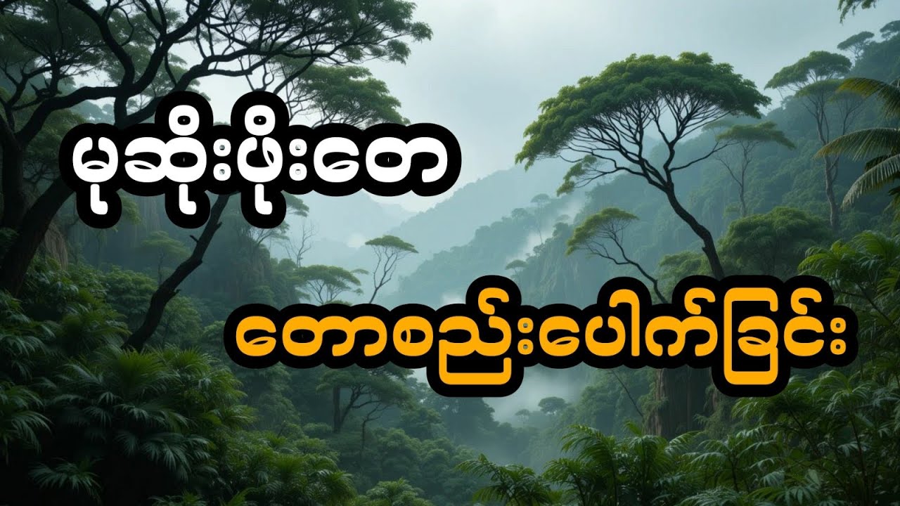 မုဆိုးကြီးဖိုးတေ နှင့် တောစည်းပေါက်ခြင်း (တင်ဆက်သူ ကိုမြတ်)