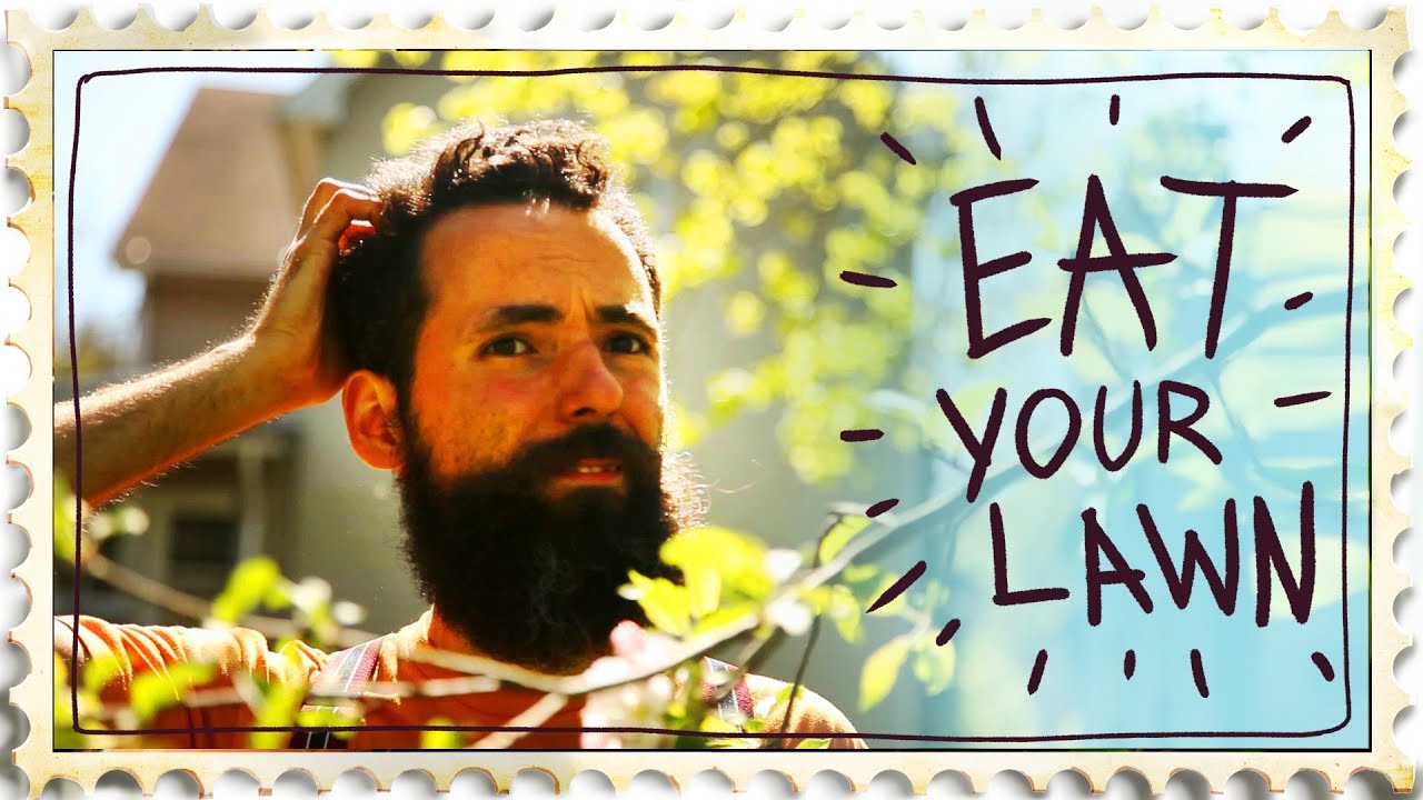 Start Eating your Lawn - Make your garden productive