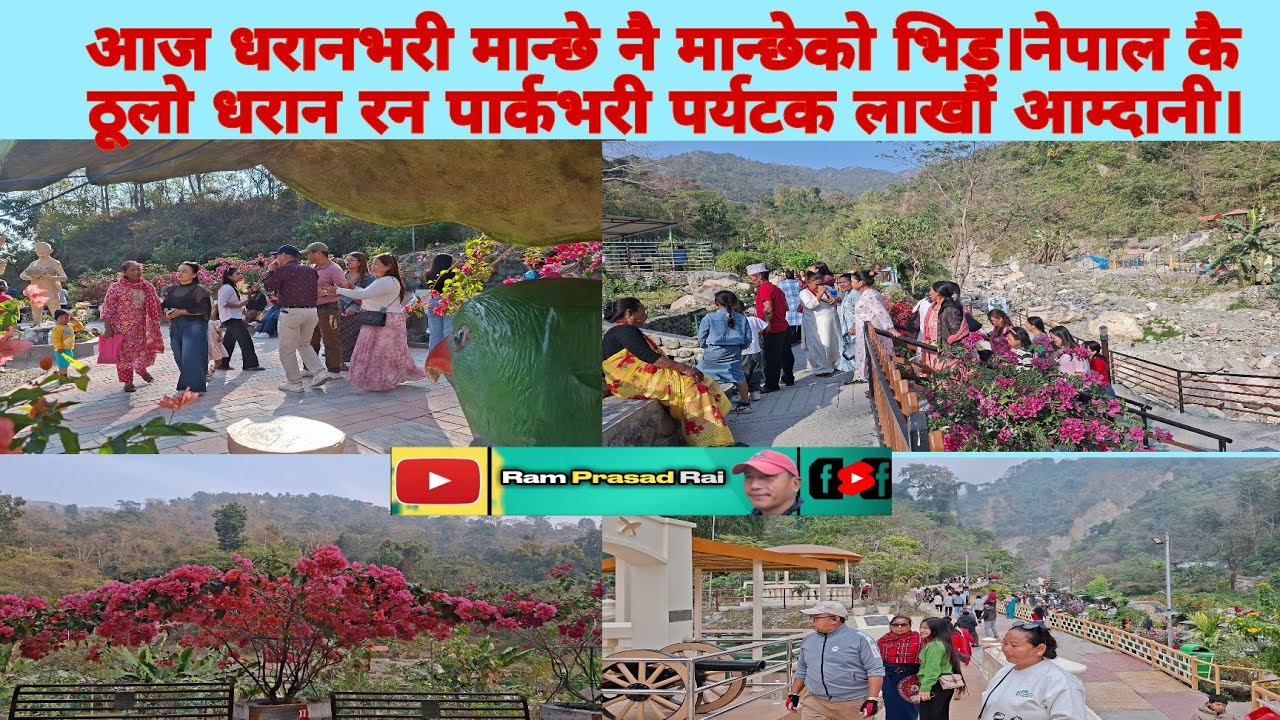 आज धरानभरी मान्छे नै मान्छेको भिड।नेपाल कै ठूलो धरान रन पार्कभरी पर्यटक लाखौं आम्दानी।