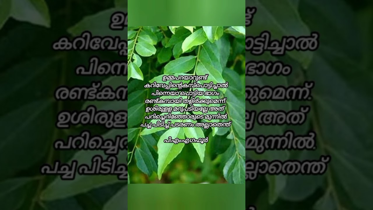 Pma Gafoor motivation🔥 |#shorts #trending #pmagafoor#motivation#malayalam