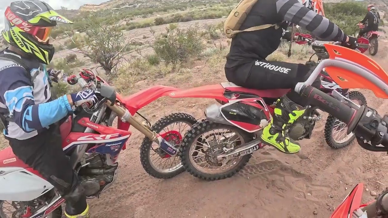 Nos encontramos con Tato y sus amigos