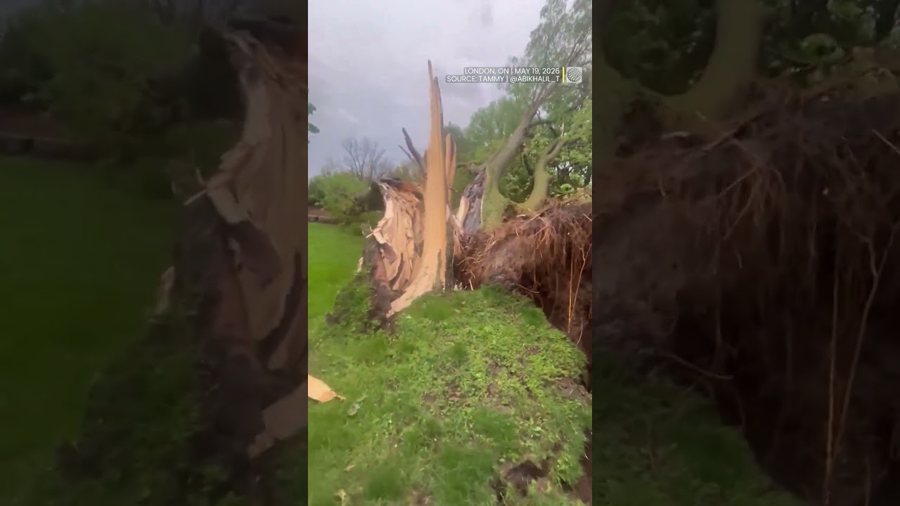 Tornado warnings and severe storms slam southern Ontario | #shorts #ontario