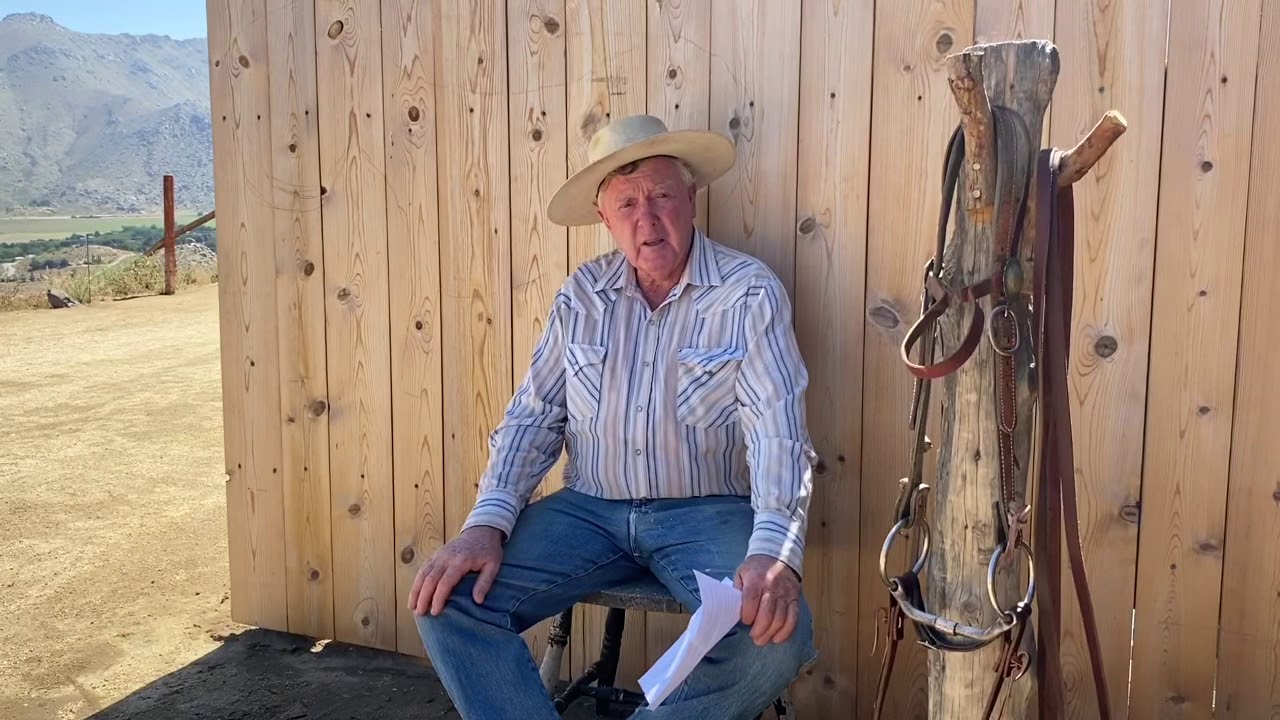 Pat Answers Questions on the Progression from the Snaffle