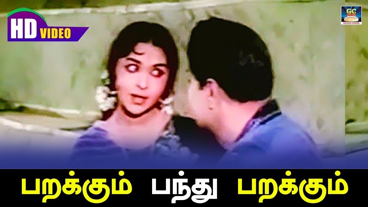 பறக்கும் பந்து பறக்கும் | Parakkum Pandhu Parakkum Song HD   பணக்கார குடும்பம் திரைப்பட பாடல் | MGR.