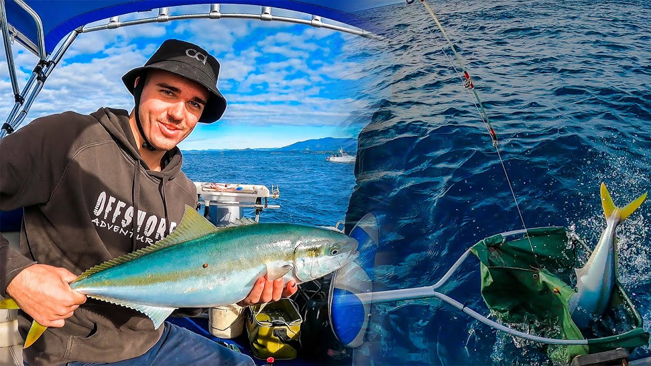 Kingfish Steaks Catch N Cook (All Rods Get BENT)