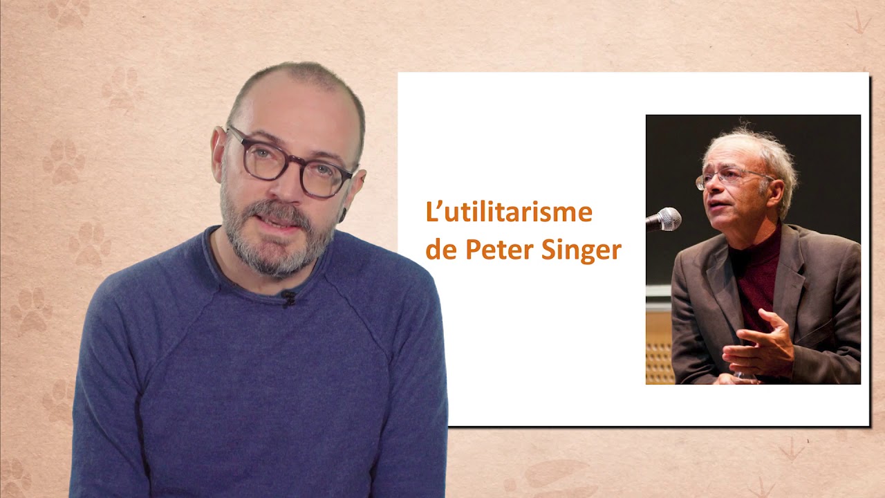 Introduction à l'éthique animale