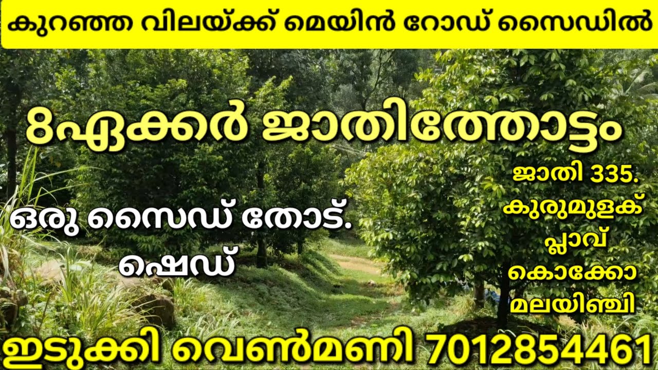കുറഞ്ഞ വിലയ്ക്ക് 8ഏക്കർ ജാതിത്തോട്ടം. ഒരു സൈഡ് തോട്.മെയിൻ റോഡ് സൈഡ്. ഷെഡ്.ഇടുക്കി വെൺമണി 7012854461👇