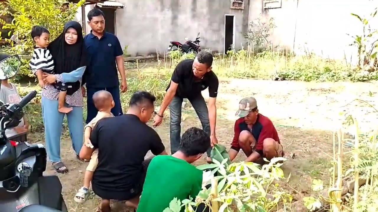 @geoparkBIMA Lambarasa Lambaweki Masyarakat Gunape Bima Dompu Samawa PROVINSI PULAU SUMBAWA #PPS OK