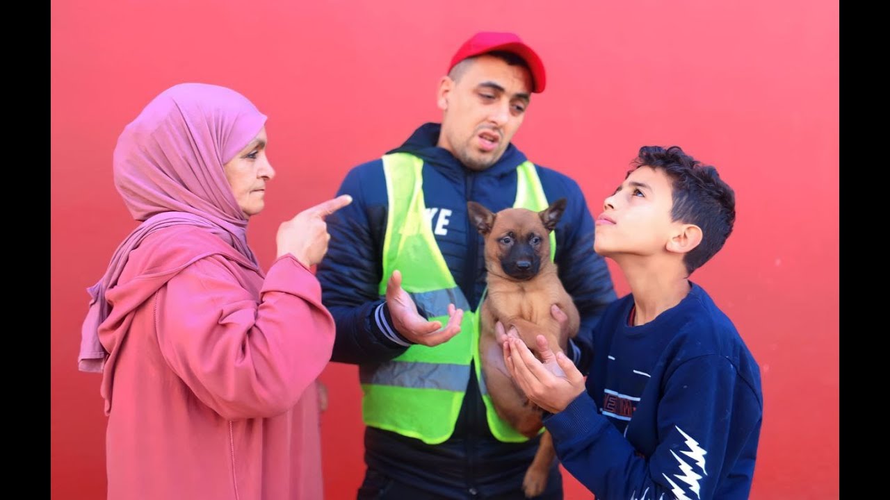 قصة الوفاء التي أبكت المغاربة…الكلب الوفي😢💔