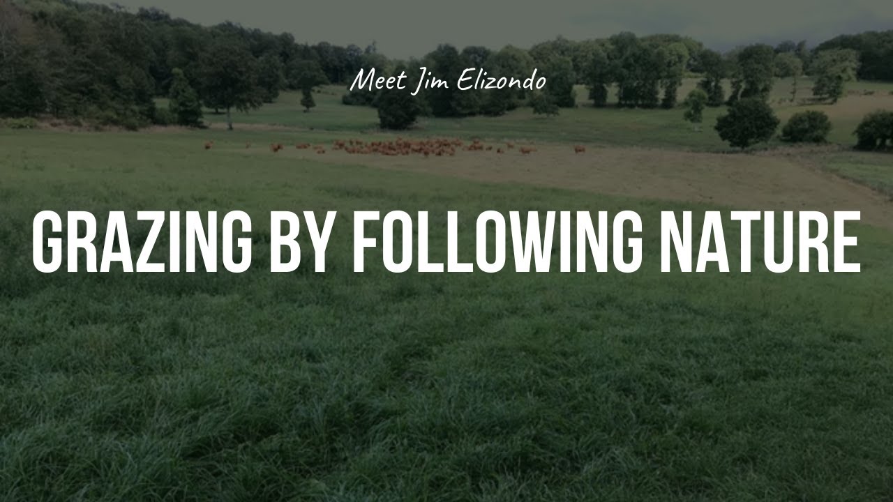 Following Nature - How the ecosystem functioned before the modern man - Jaime Elizondo