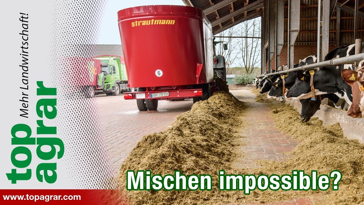 Futterration für Kühe: Mischen impossible?