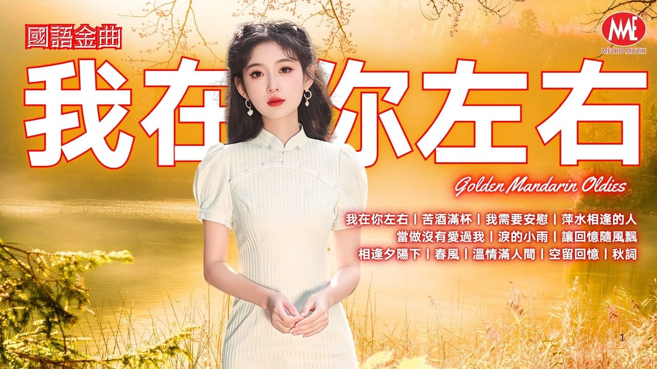【國語金曲】我在你左右丨苦酒滿杯丨我需要安慰丨萍水相逢的人丨當做沒有愛過我丨淚的小雨丨讓回憶隨風飄丨相逢夕陽下丨春風丨溫情滿人間丨空留回憶丨秋詞 Mandarin Oldies (歌詞版)