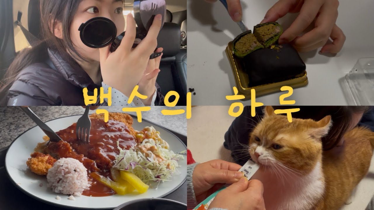 백수의 하루☀️ | 일상 브이로그 | 먼치킨 고양이 집사 | cu카다이프수건케이크 솔직후기 🧆🤍|