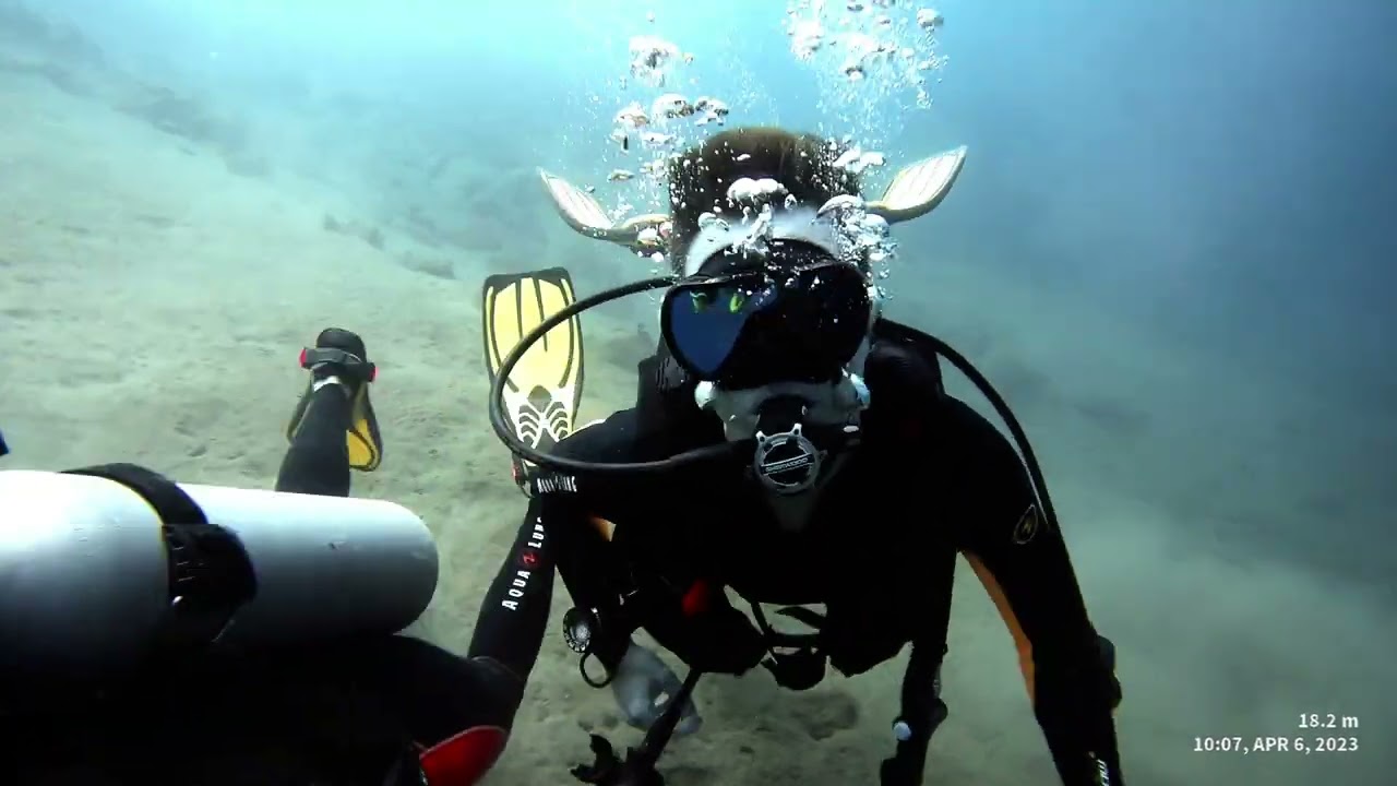 「Diving in Mabini」「Wreck」「Car」「Dive Buddies」