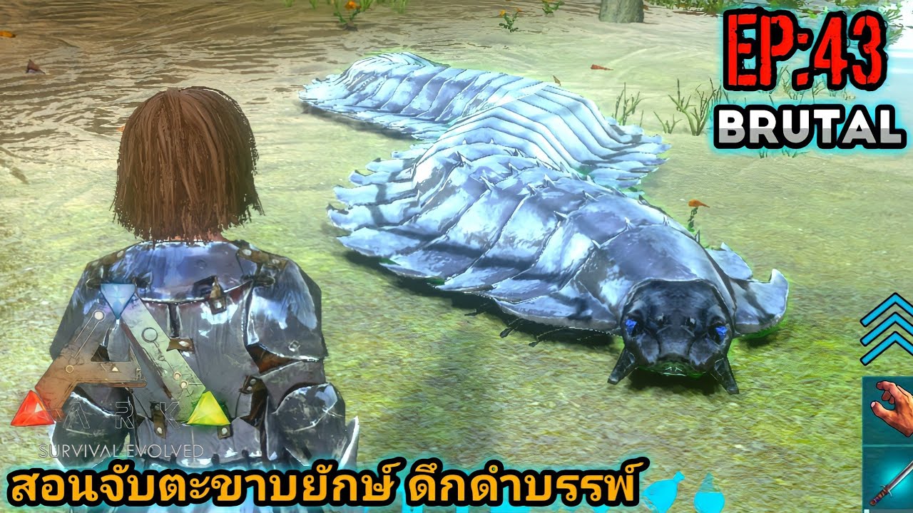 Ark Mobile Brutal สอนจับตะขาบยักษ์ ดึกดำบรรพ์ นี่มันตะขาบยุคไดโนเสาร์ arthropleura EP:43