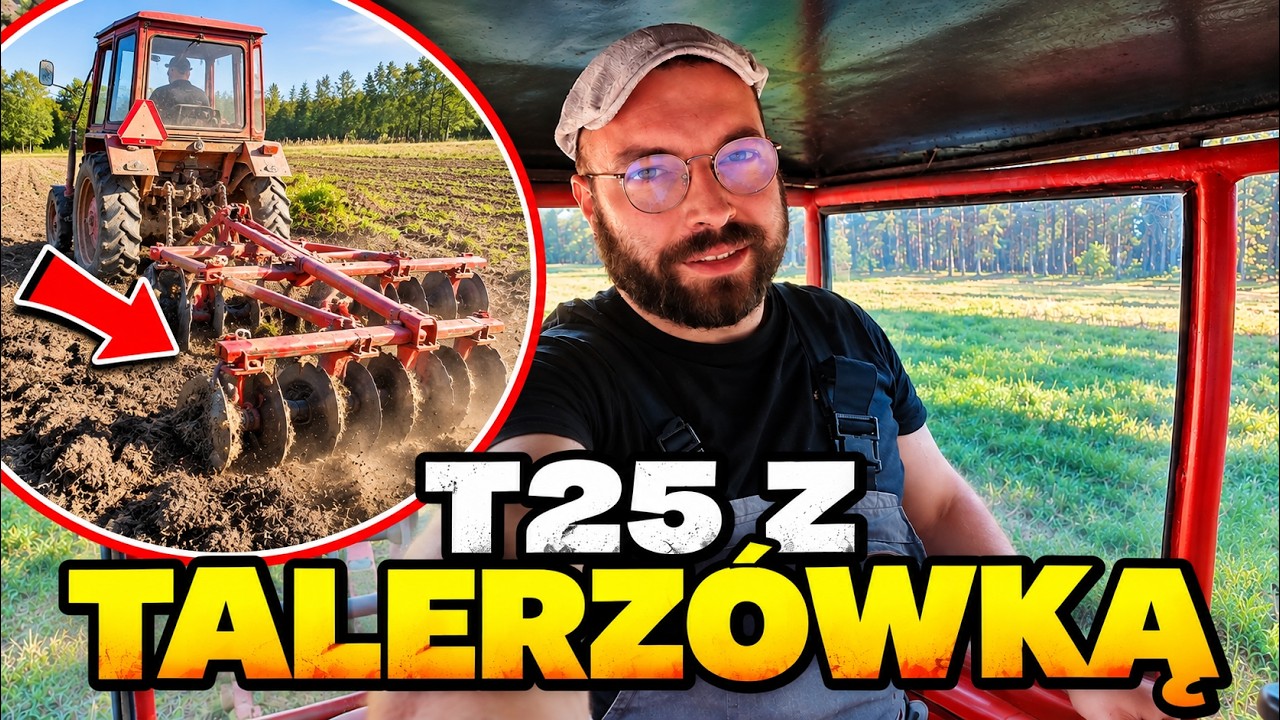 Pola talerzowanie i zwierzakom sprzątanie