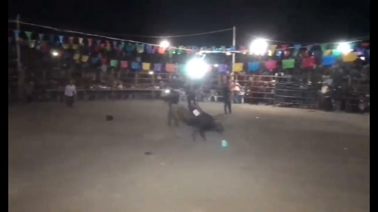 Urysax Cupido De San Balta vs La Falla Del tigre Jaripeo Feria Anual San Baltazar Guelavila 2024