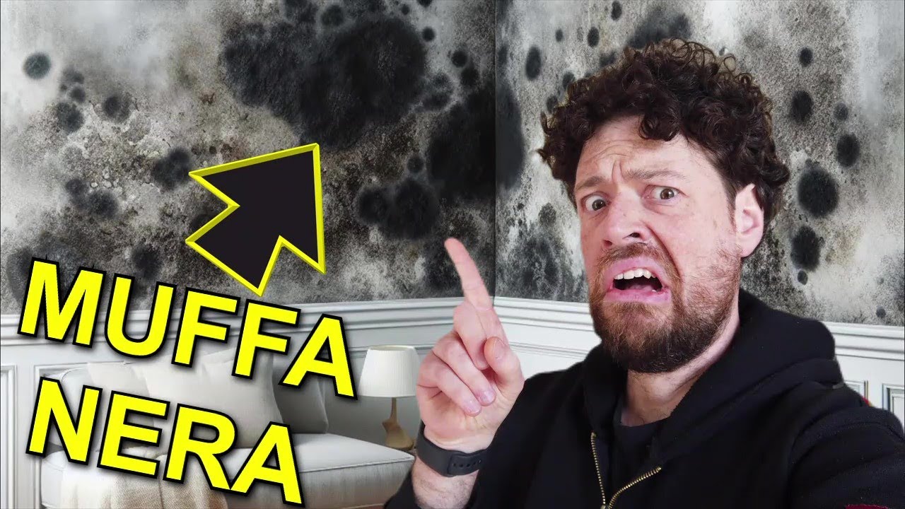 Come eliminare la muffa nera dai muri interni di casa