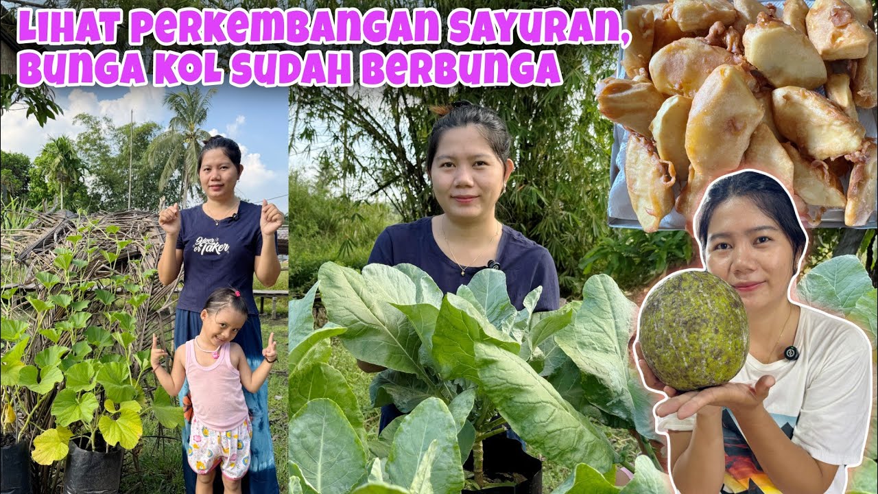 PUNYA BUAH SUKUN AYO BIKIN GORENGAN SUKUN YANG ENAK MAKAN BERSAMA KELUARGA