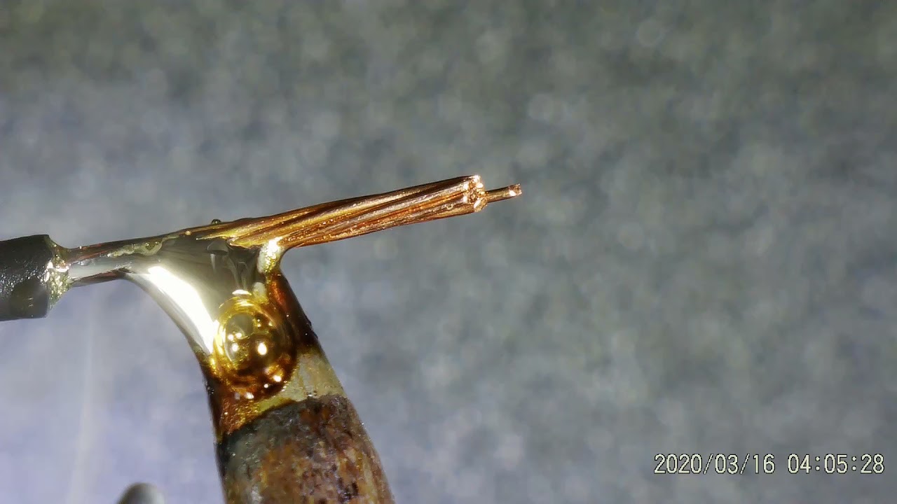 Andonstar AD407 Microscope Sample Video (1080p/60fps)